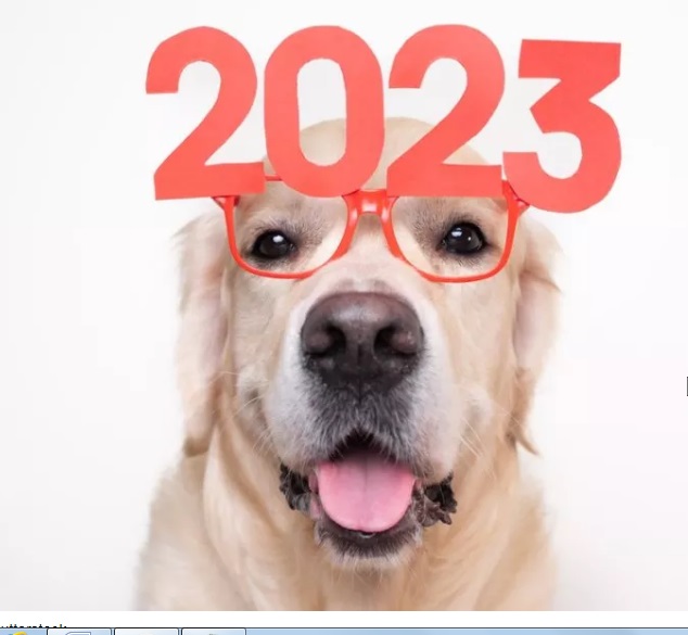 10 PR-трендов для брендов и компаний в 2023 году