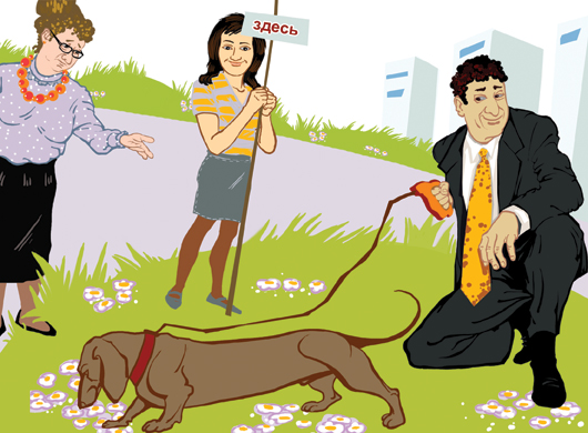 На своем месте На своем месте