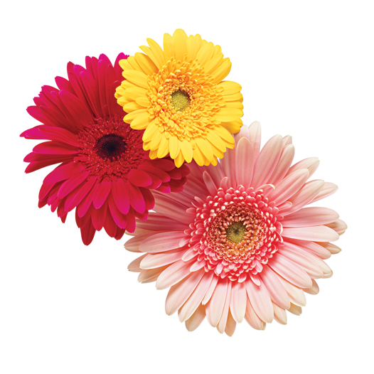 Драгоценное лето-2012: обзор модных ювелирных тенденций