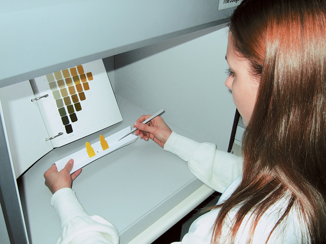 Шестилетняя динамика