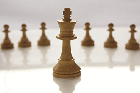 Стратегия жизни – управление Стратегия жизни – управление