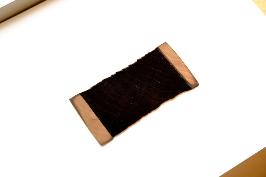 Ученые случайно создали невероятно черную древесину, которую можно использовать в ювелирных изделиях