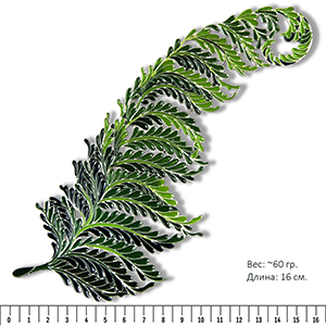 paporotnik.png paporotnik.png