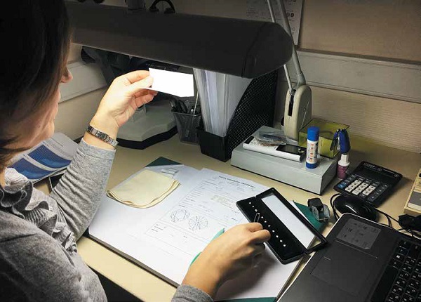 photo8.jpg photo8.jpg