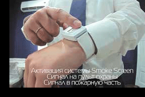 ZV_1.gif