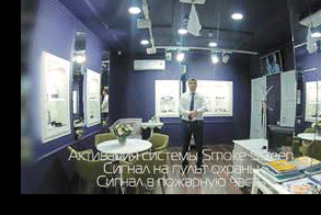 ZV_2.gif